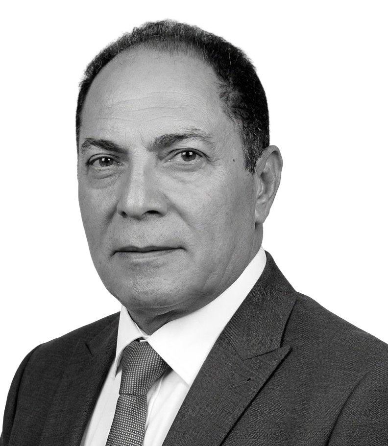Professor Nasser Mansour